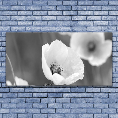 Druck auf Glas Mohnblumen Pflanzen