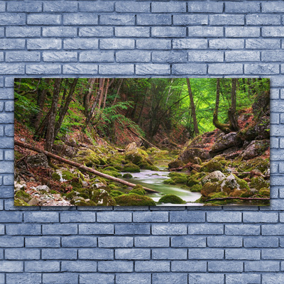 Druck auf Glas Wald Natur