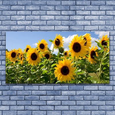 Druck auf Glas Sonnenblumen Pflanzen