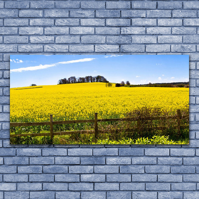 Druck auf Glas Acker Landschaft