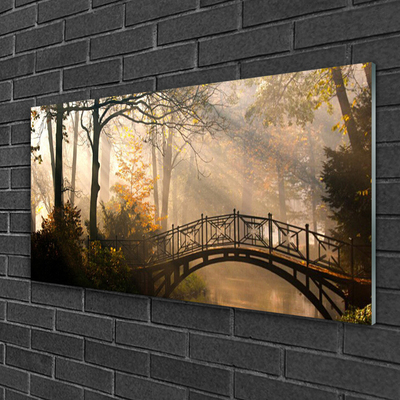 Druck auf Glas Wald Brücke Architektur