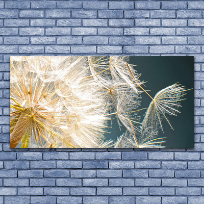 Druck auf Glas Pusteblume Pflanzen