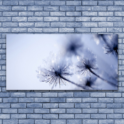 Druck auf Glas Pusteblume Pflanzen