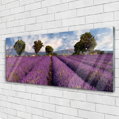 Druck auf Glas Wiese Bäume Natur