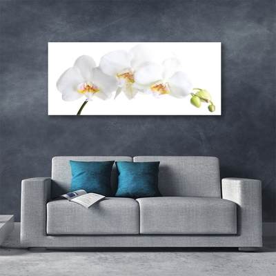 Druck auf Glas Blumen Pflanzen