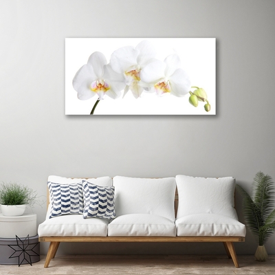 Druck auf Glas Blumen Pflanzen