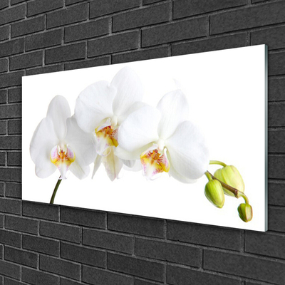 Druck auf Glas Blumen Pflanzen