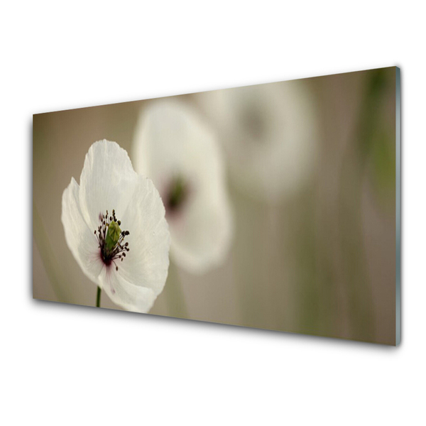 Druck auf Glas Blume Pflanzen