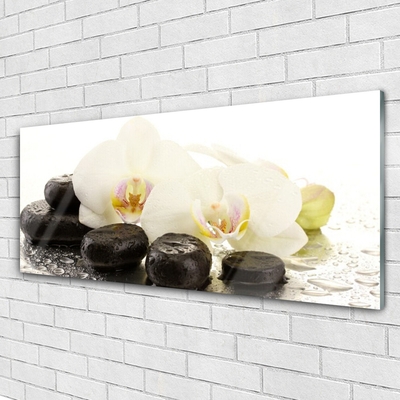 Druck auf Glas Blumen Steine Kunst