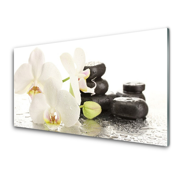 Druck auf Glas Blumen Steine Pflanzen