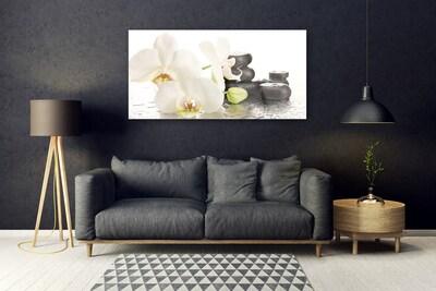 Druck auf Glas Blumen Steine Pflanzen
