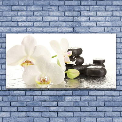 Druck auf Glas Blumen Steine Pflanzen