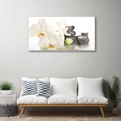Druck auf Glas Blumen Steine Pflanzen
