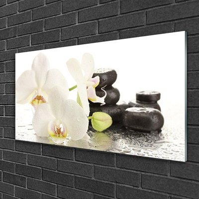 Druck auf Glas Blumen Steine Pflanzen