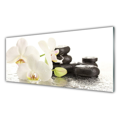 Druck auf Glas Blumen Steine Pflanzen