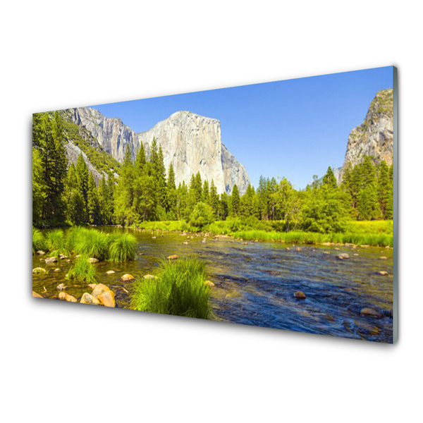 Druck auf Glas See Gebirge Wald Natur