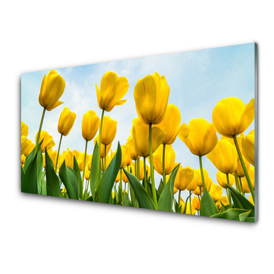 Druck auf Glas Tulpen Pflanzen