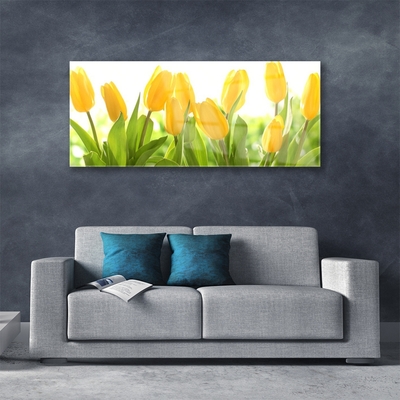 Druck auf Glas Tulpen Pflanzen