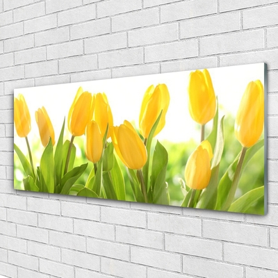 Druck auf Glas Tulpen Pflanzen