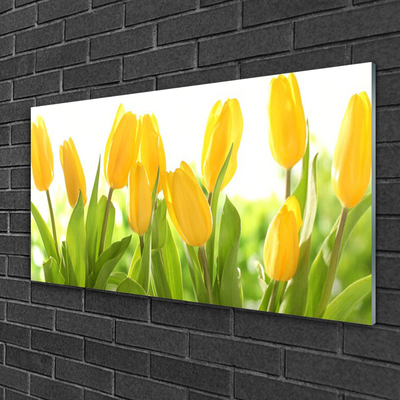 Druck auf Glas Tulpen Pflanzen