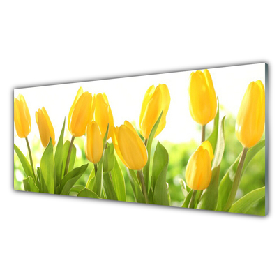 Druck auf Glas Tulpen Pflanzen