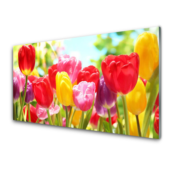 Druck auf Glas Tulpen Pflanzen