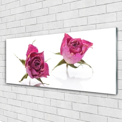 Druck auf Glas Rosen Pflanzen
