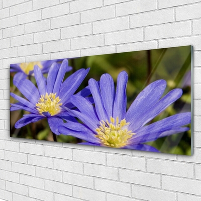 Druck auf Glas Blumen Pflanzen