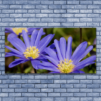 Druck auf Glas Blumen Pflanzen