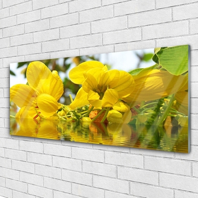 Druck auf Glas Blumen Pflanzen