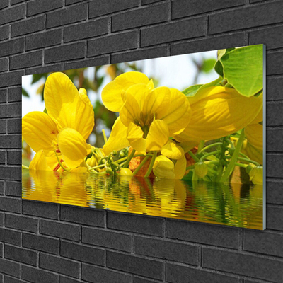 Druck auf Glas Blumen Pflanzen