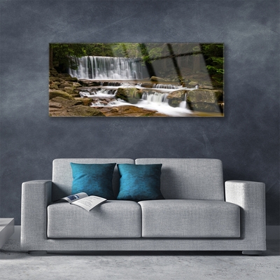 Druck auf Glas Wasserfall Wald Natur