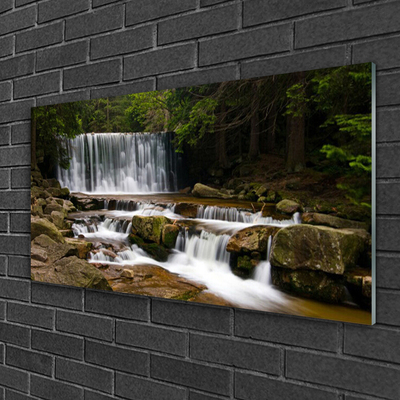 Druck auf Glas Wasserfall Wald Natur