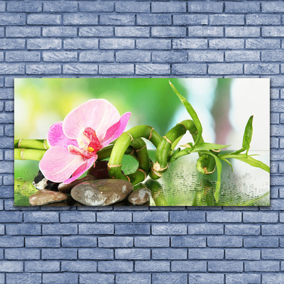 Druck auf Glas Bambusrohr Blume Steine Natur