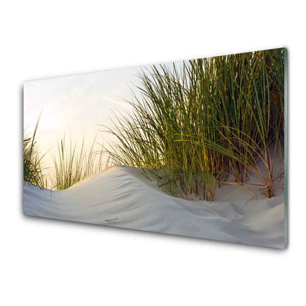 Druck auf Glas Sand Gras Landschaft