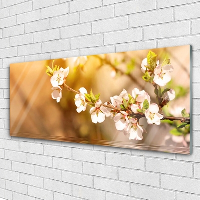 Druck auf Glas Blumen Pflanzen