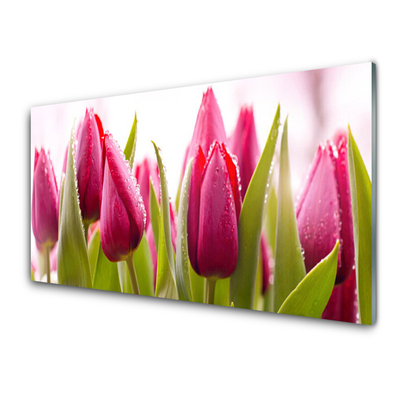 Druck auf Glas Tulpen Pflanzen