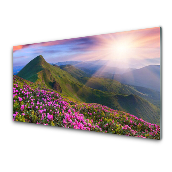 Druck auf Glas Gebirge Wiese Blumen Landschaft