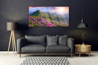 Druck auf Glas Gebirge Wiese Blumen Landschaft