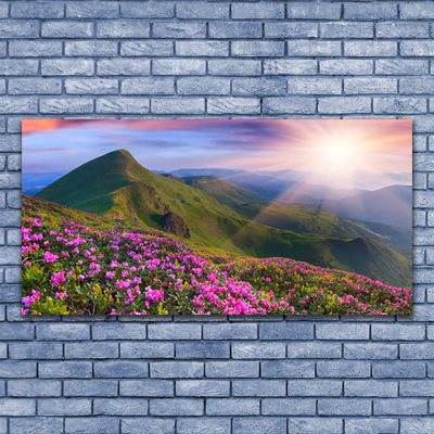 Druck auf Glas Gebirge Wiese Blumen Landschaft