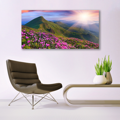 Druck auf Glas Gebirge Wiese Blumen Landschaft