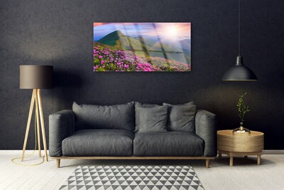 Druck auf Glas Gebirge Wiese Blumen Landschaft