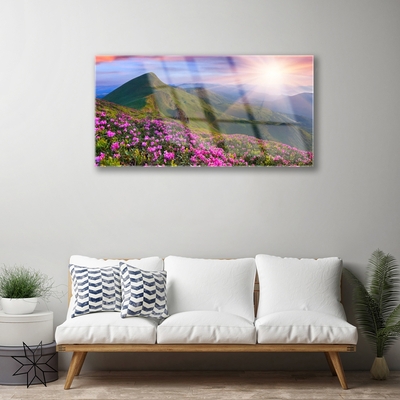 Druck auf Glas Gebirge Wiese Blumen Landschaft