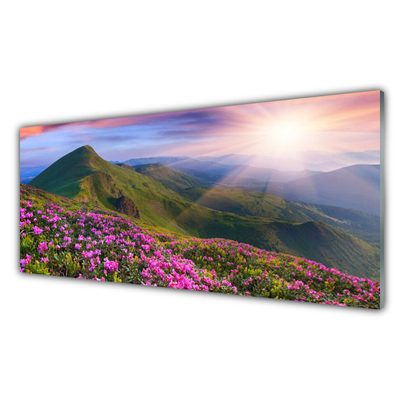 Druck auf Glas Gebirge Wiese Blumen Landschaft