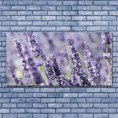 Druck auf Glas Blumen Pflanzen