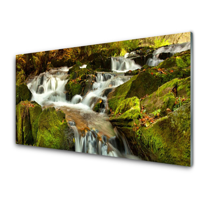 Druck auf Glas Wasserfall Felsen Natur