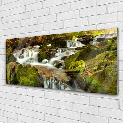 Druck auf Glas Wasserfall Felsen Natur