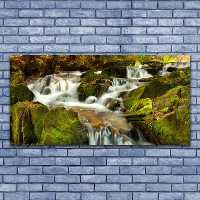 Druck auf Glas Wasserfall Felsen Natur