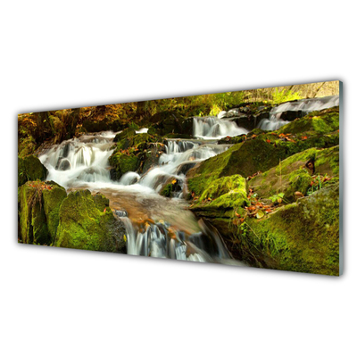 Druck auf Glas Wasserfall Felsen Natur