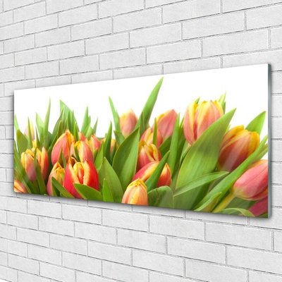 Druck auf Glas Tulpen Pflanzen